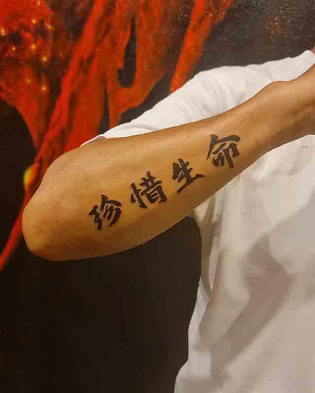 Chinese-Sleeve-Tattoos-For-Men-(2)