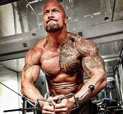 cool dwayne johnson bicep tattoos