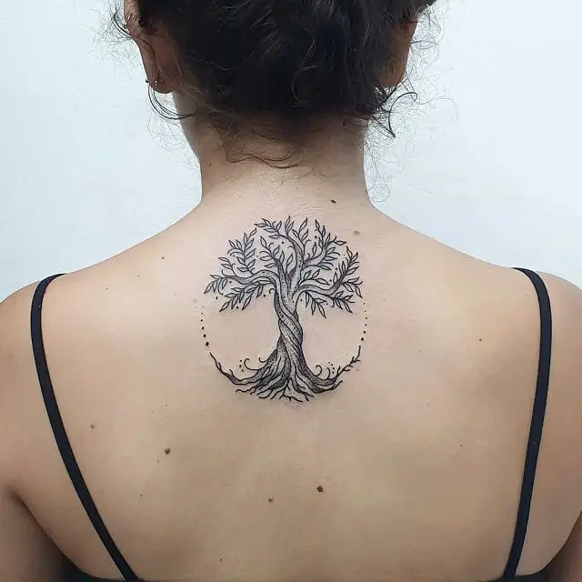  life tree 