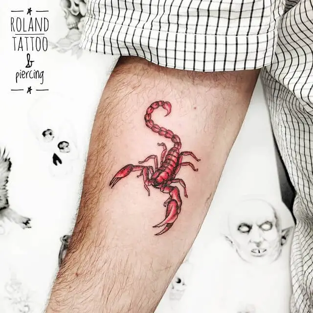  scorpion tattoo ideas