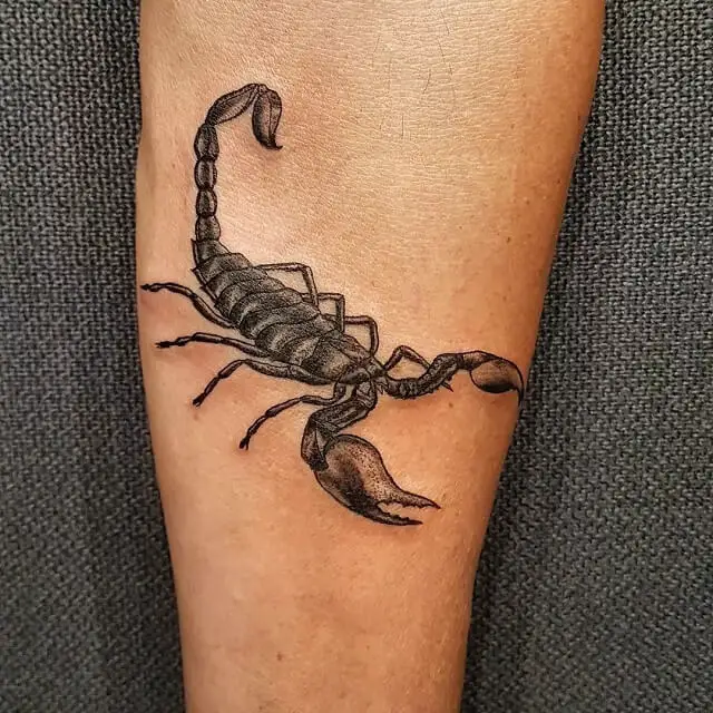 tribal scorpion tattoo