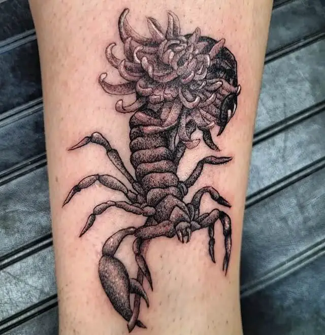 tribal the scorpion tattoo