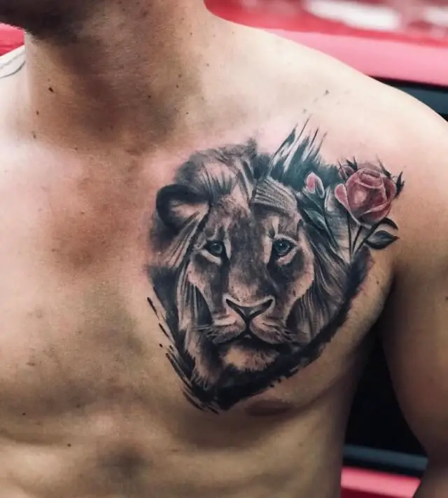 lion chest tattoos