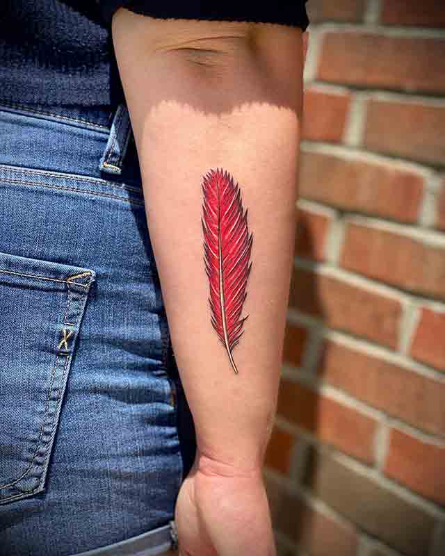 Cardinal-Feather-Tattoo-(3)