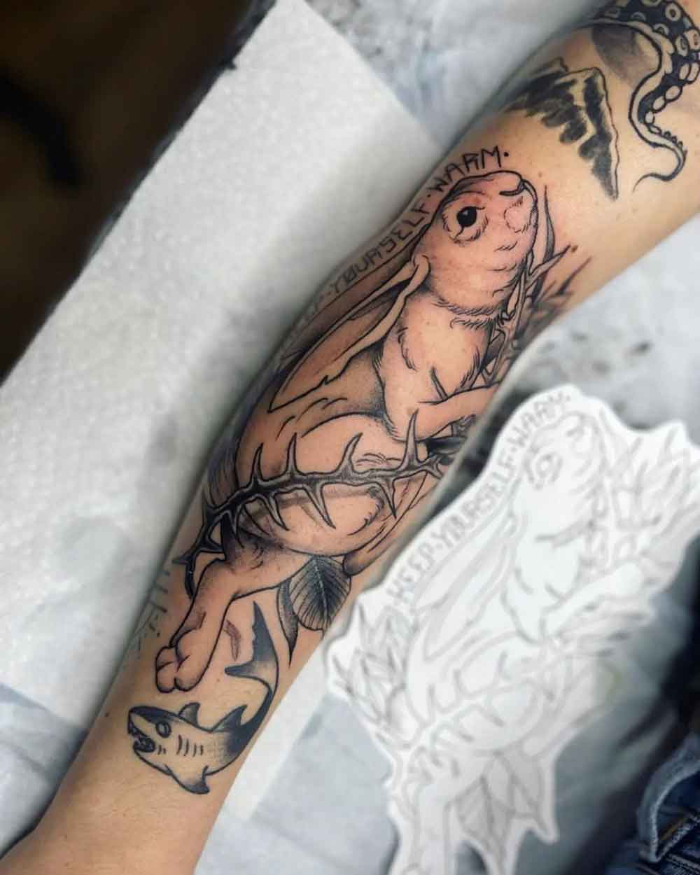 35 Frabbit Tattoo ideas  frightened rabbit ink tattoo nautical tattoo