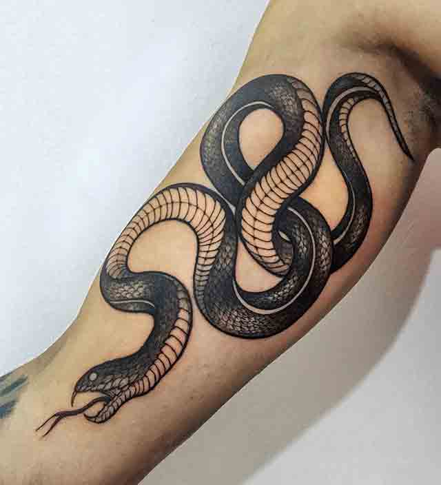 Snake-Tattoos-For-Men-On-Arm-(1)