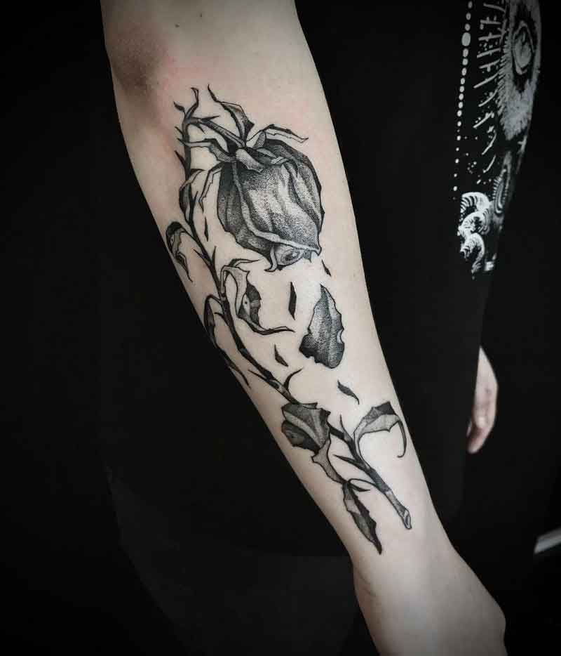 Black Dead Rose Tattoo 2