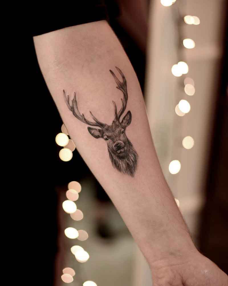 Buck Deer Tattoo 1
