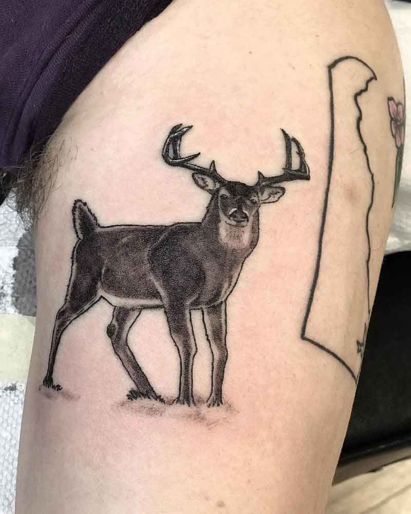 Buck Deer Tattoo 3