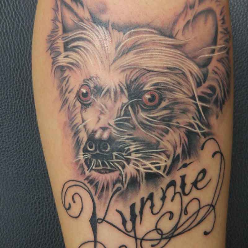 Chinese Crested Dog Tattoos 3