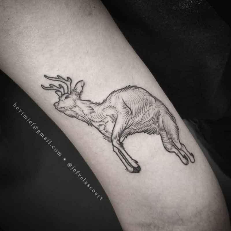 Dead Deer Tattoo 2