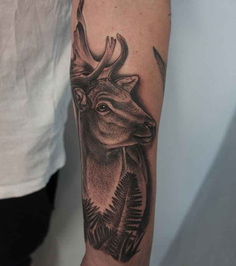 Fallow Deer Tattoo 3