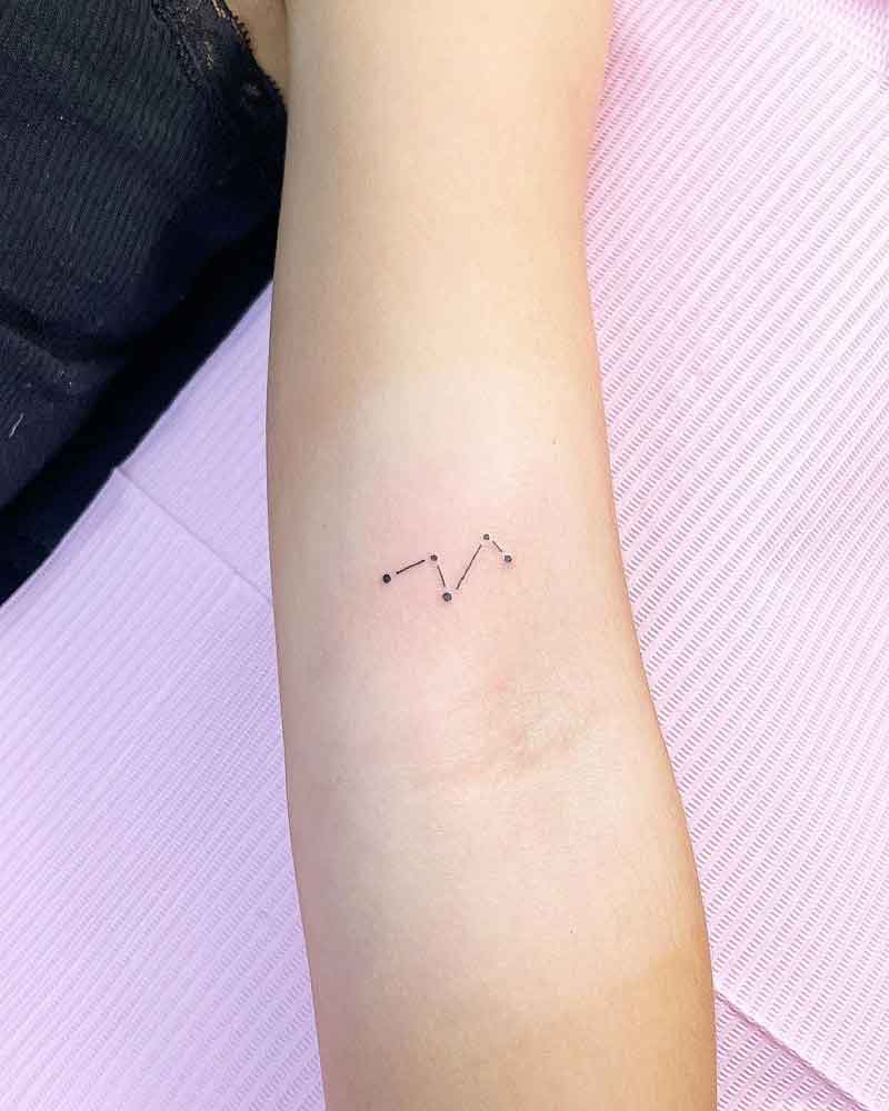 Fox Constellation Tattoo 2
