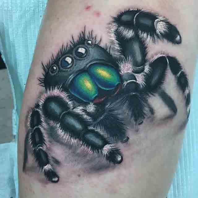 Jumping-Spider-Tattoo-(2)