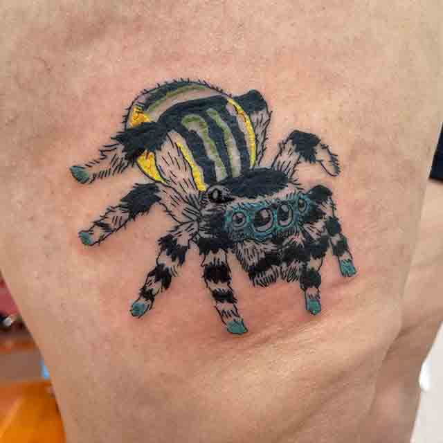 Jumping-Spider-Tattoo-(3)