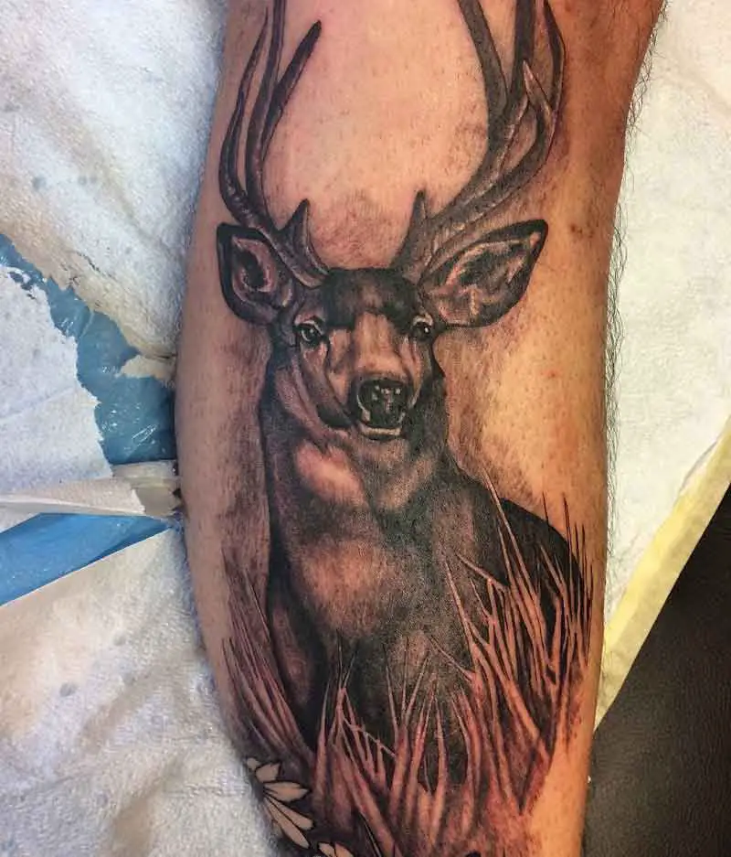 Mule Deer Tattoo 3