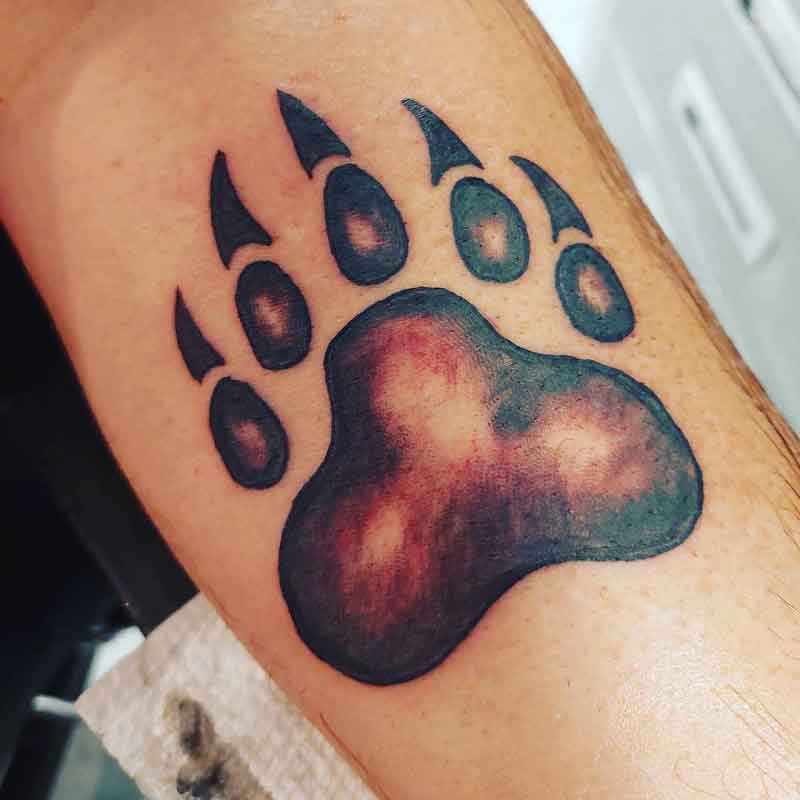 Bear paw print design  Bear claw tattoo Bear paw tattoos Bear paw print