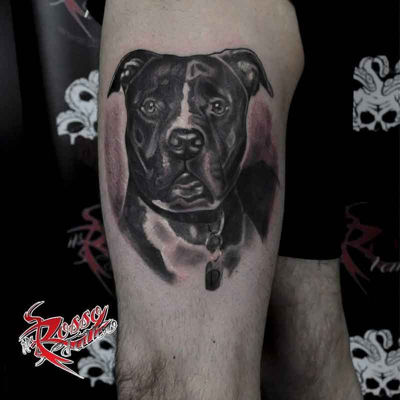 Pitbull Dog Tattoos 2