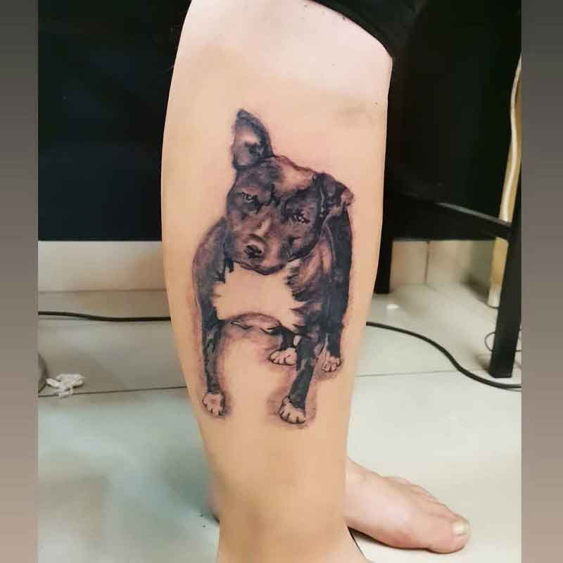 Pitbull Dog Tattoos 3