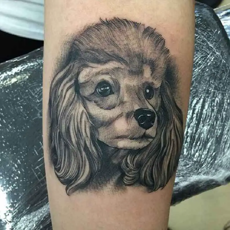 Poodle Dog Tattoos 2