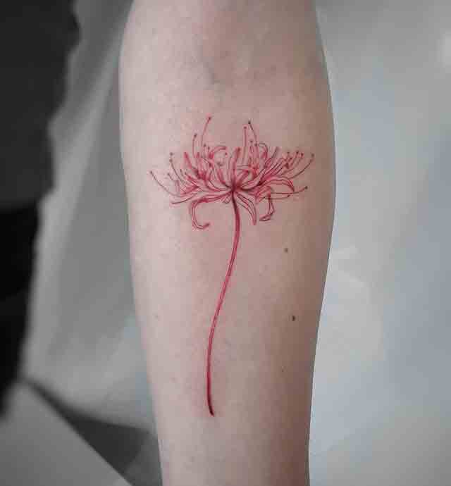 Spider-Lily-Tattoo-(2)