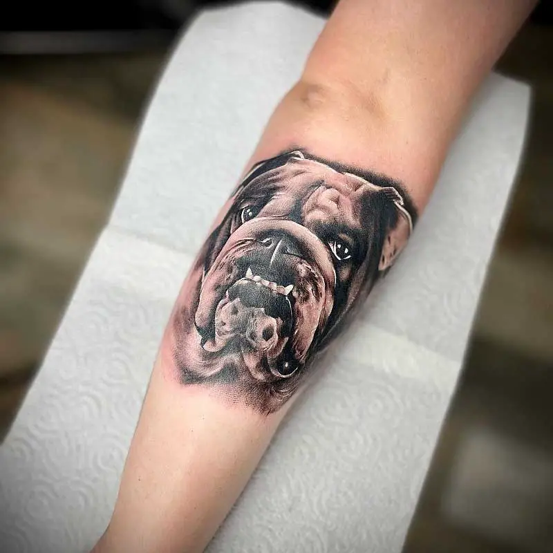 british-bulldog-tattoo-1