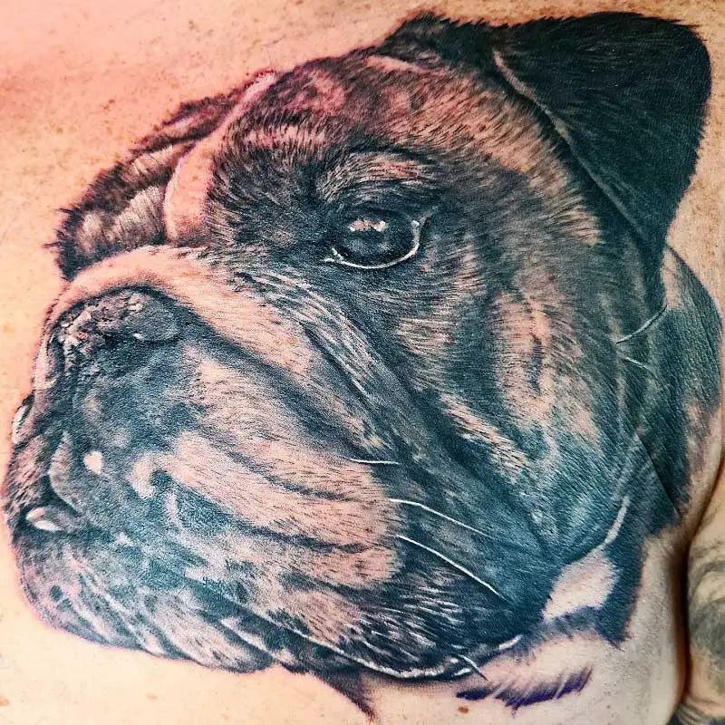 british-bulldog-tattoo-3