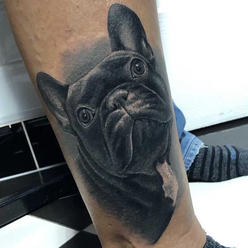 bulldog-face-tattoo-2