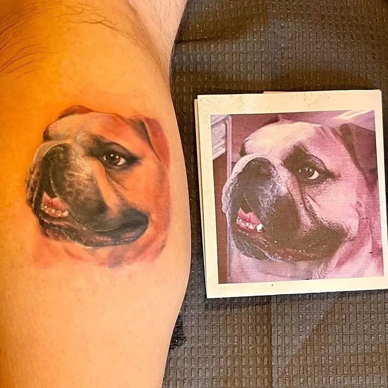 bulldog-portrait-tattoo-1