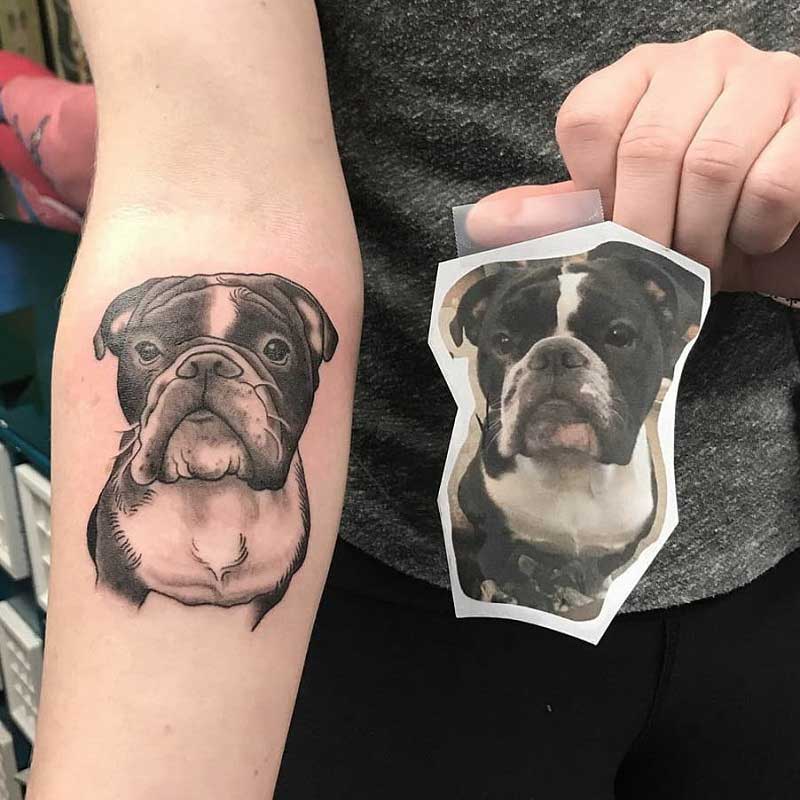 bulldog-portrait-tattoo-2