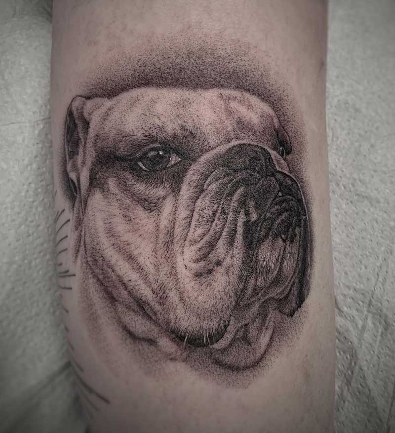 bulldog-portrait-tattoo-3