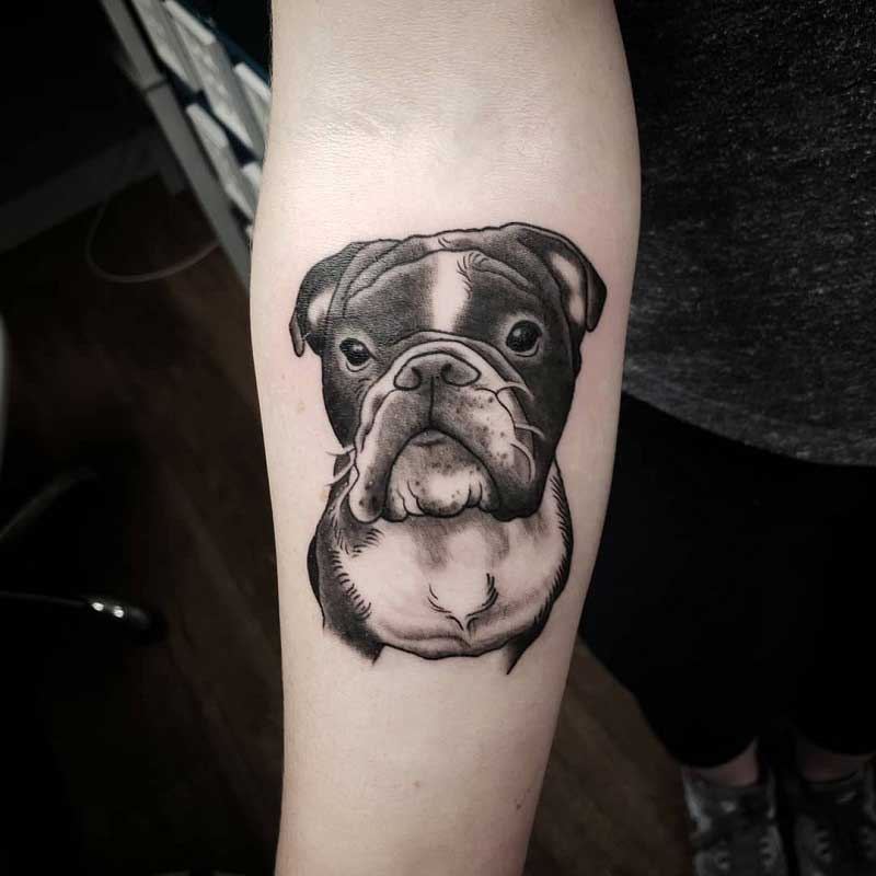 bulldog-portrait-tattoo-5