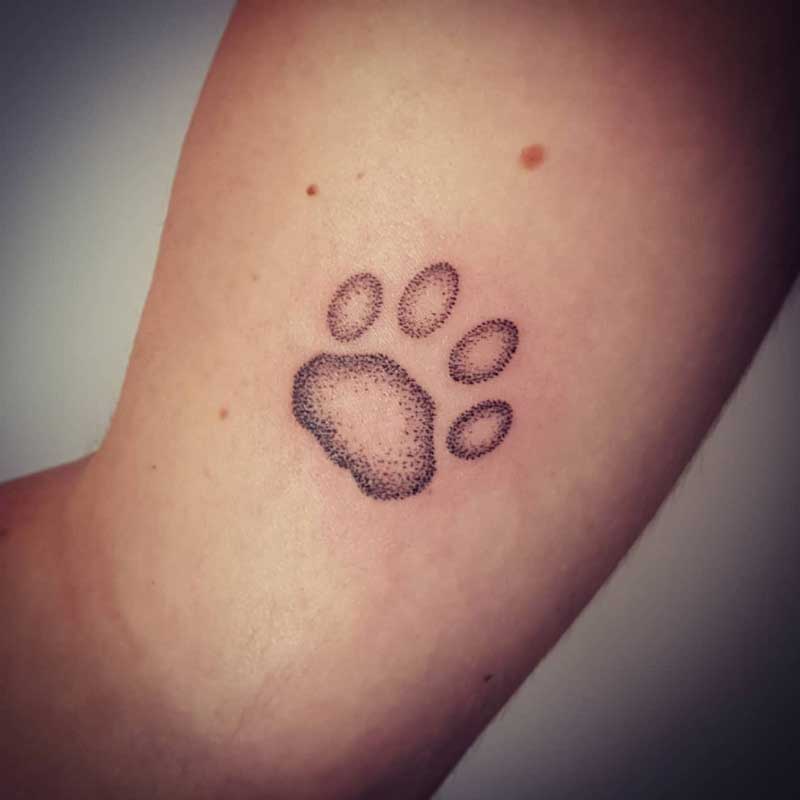 Pet Memorial Tattoos  Would You Get One  Dignity Pet Crematorium