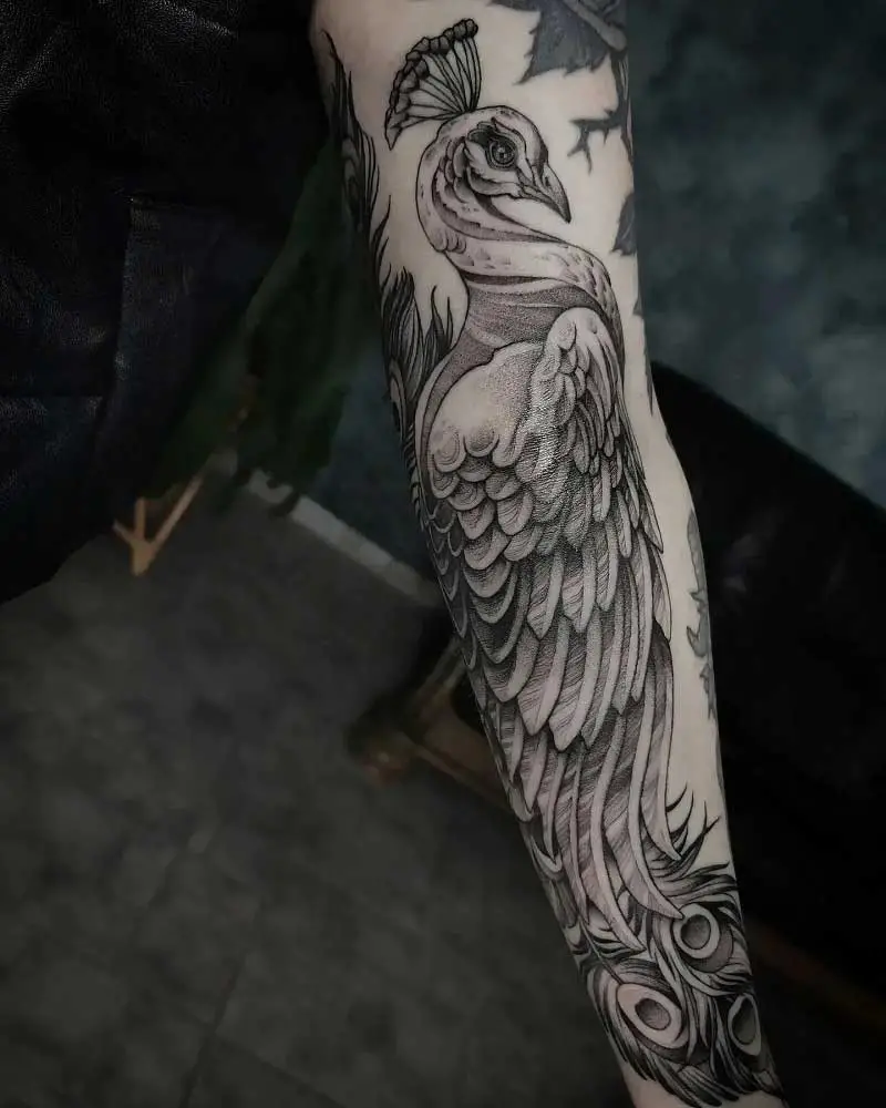 Peacock Feather Black and Grey Tattoo – Tattoos Wizard Designs