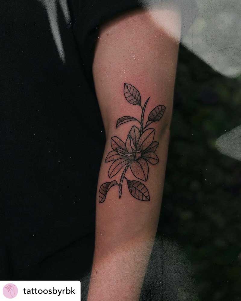 Magnolia Flower Tattoo Meaning  TattoosWin