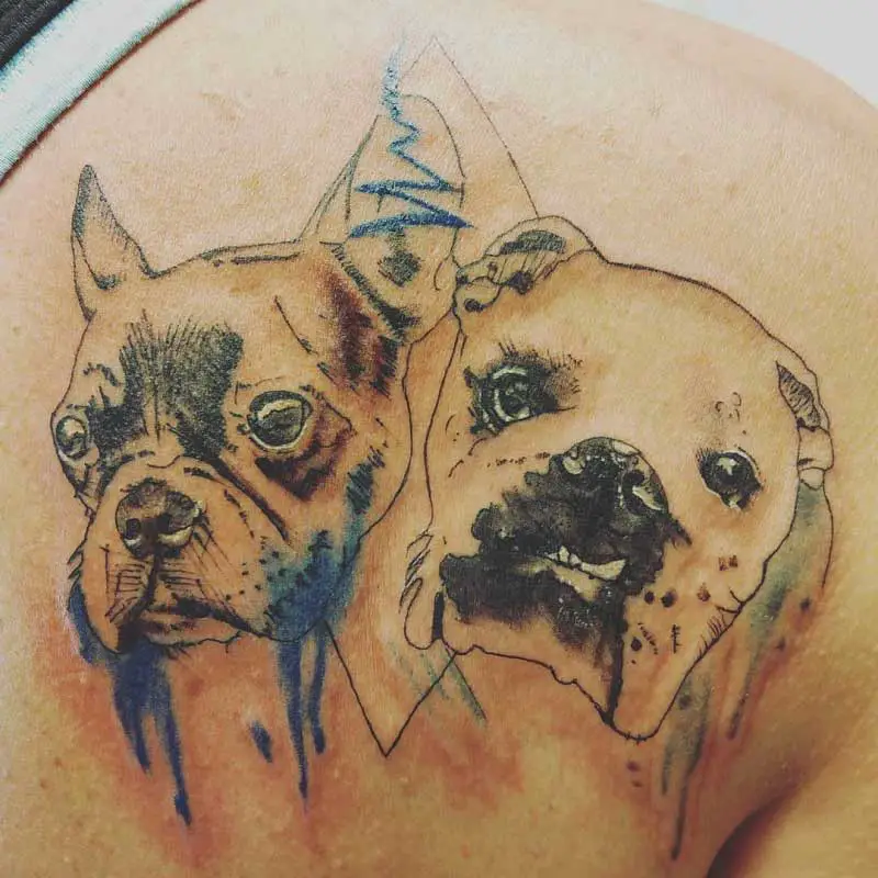 old-english-bulldog-tattoo-3