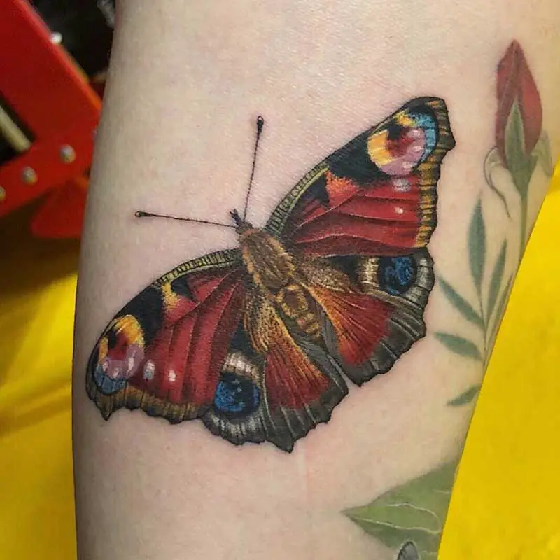 peacock-butterfly-tattoo-1