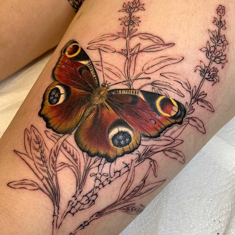 peacock-butterfly-tattoo-3