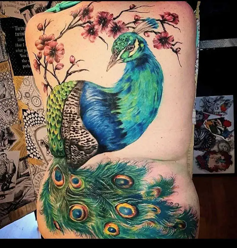 peacock-phoenix-tattoo-3