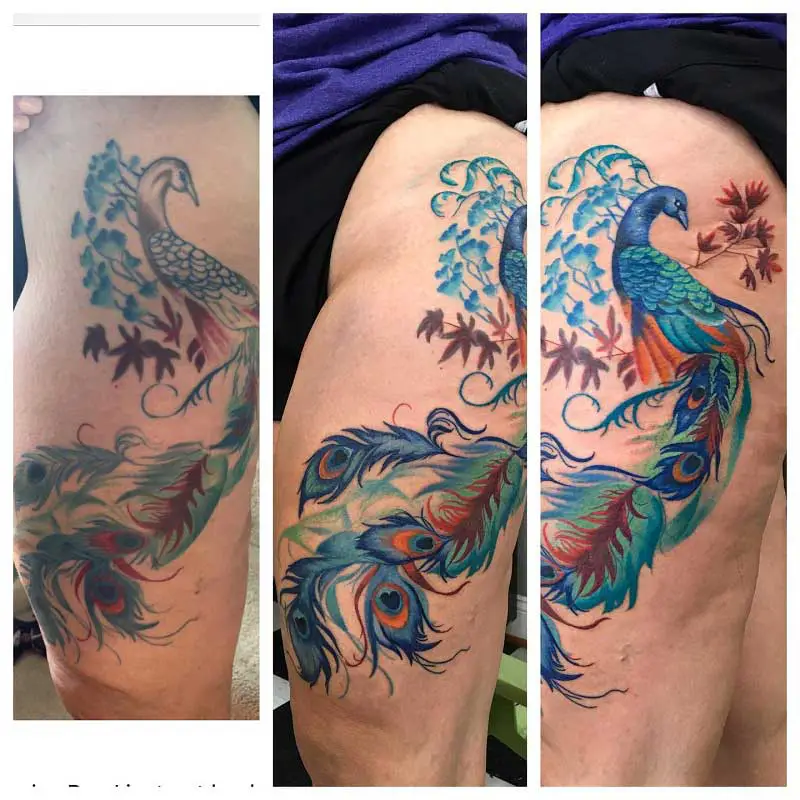 My huge peacock tattoo plus a few of my other pieces of ink  rtattoos