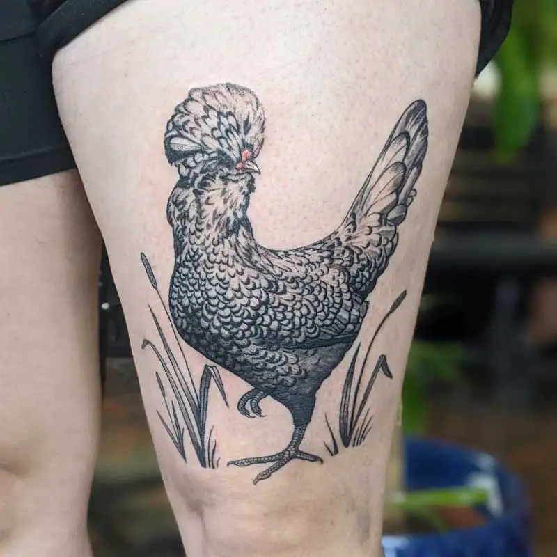 polish-chicken-tattoo-2