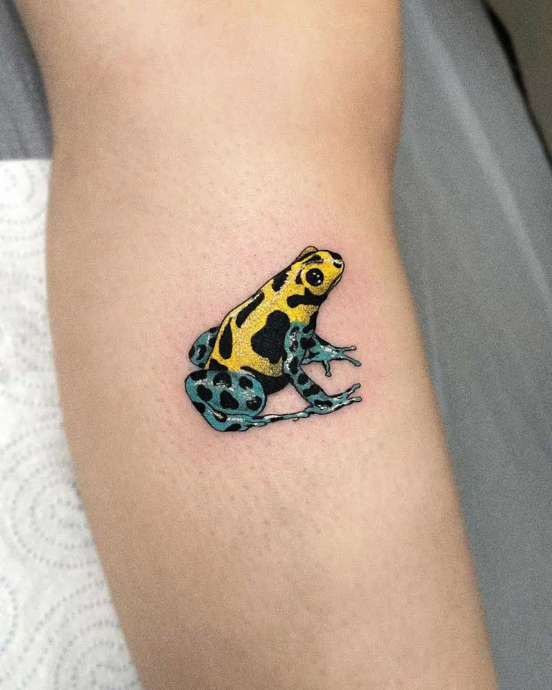 Til Death Denver  Super fun dart frog from gordoncombs To schedule a  tattoo with Gordon you can email gordontattoogmailcom tildeathdenver  denvertattoo traditionaltattoo americanatattoos tradworkers  traditionalartist oldlines 