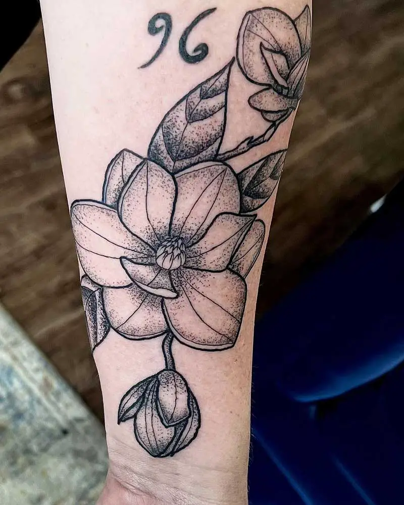 x-ray-magnolia-tattoo-2