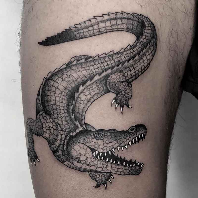 15 Eye Catching Alligator Tattoo Designs for Powerful Look