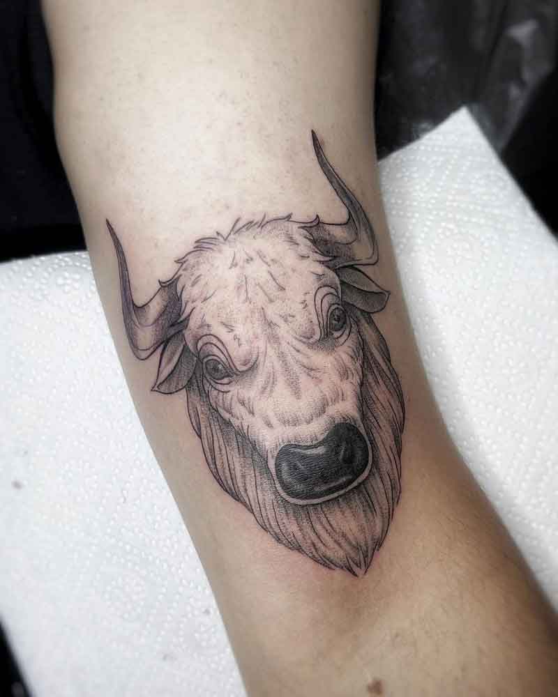 Hereford Bull Tattoo 3