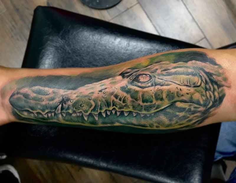 Realistic Alligator Tattoos 1