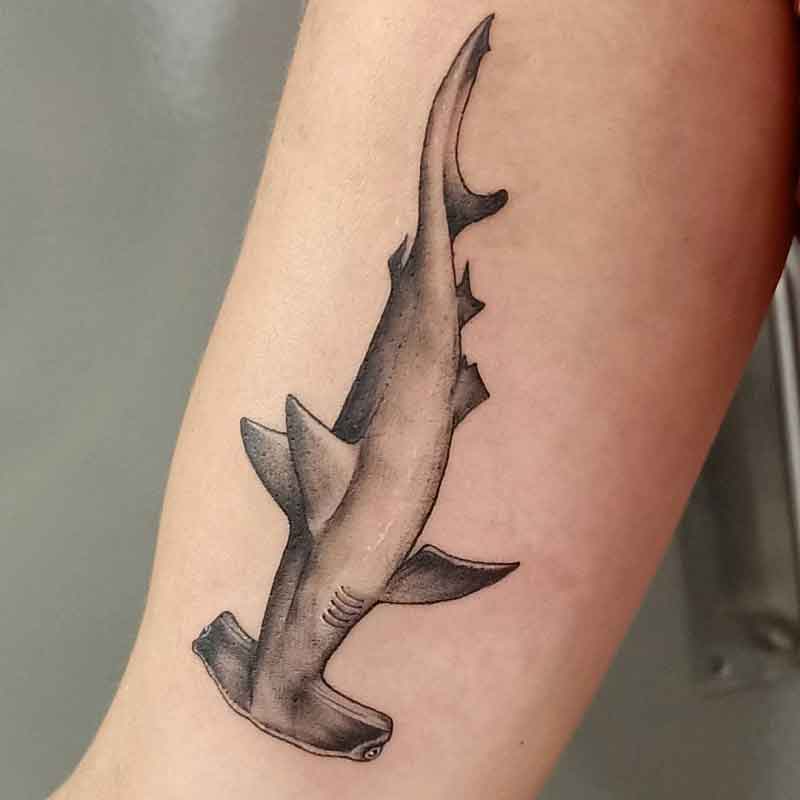 Smooth Hammerhead Shark Tattoo 3