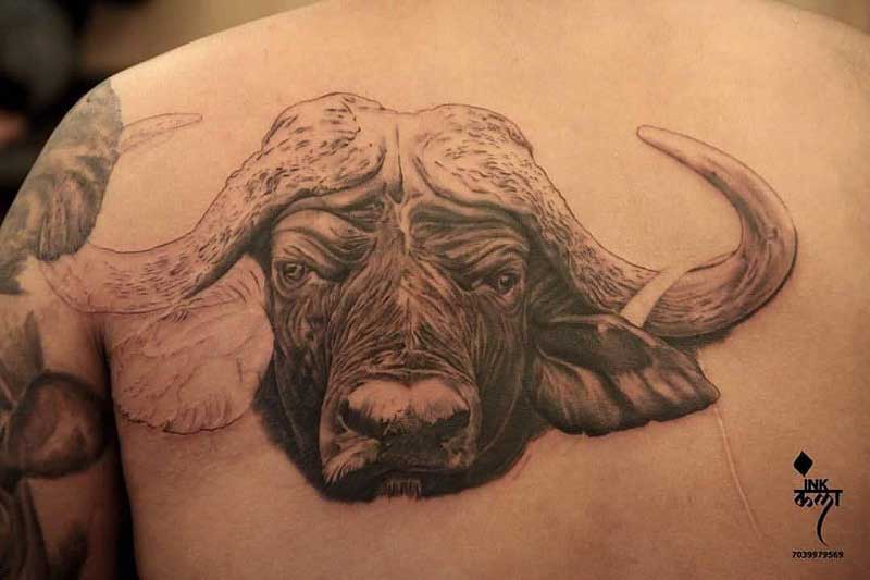 african-buffalo-tattoo--2