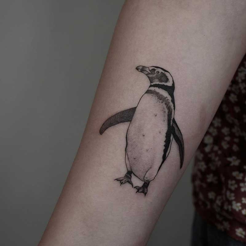 1370 Penguin Tattoo Images Stock Photos  Vectors  Shutterstock