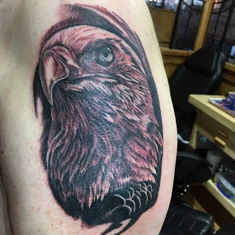 bald-eagle-portrait-tattoo-2